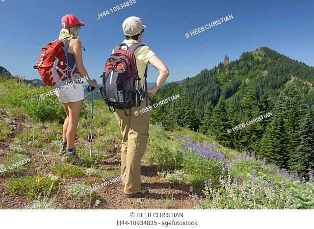 Pacific Northwest, Cascade Mountains, Oregon, USA, United States, America, wild flowers, lupine, hiking, women, meadow, Iron Mountain