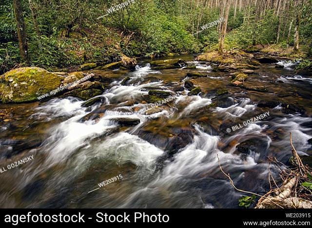 Cascade on Catheys Creek - near Brevard, North Carolina, USA