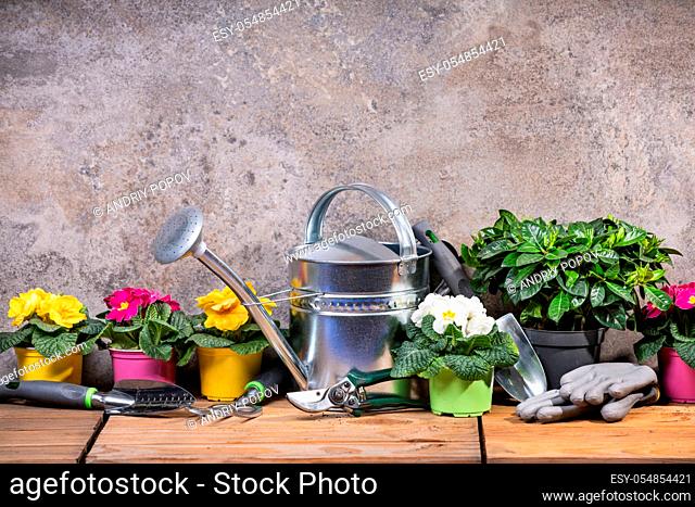 Gardening Tools And Flowers Ready To Be Planted Against Concrete Wall
