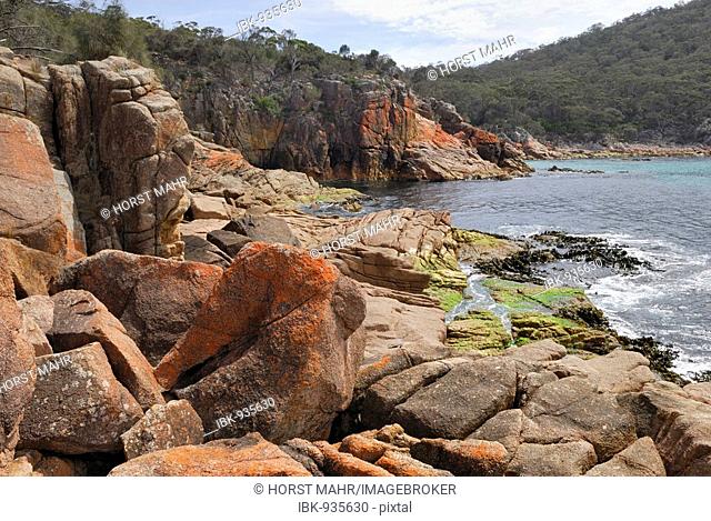 Red granite rocks in Sleepy Bay partially covered by lichen, Freycinet Peninsula, Tasmania, Australia