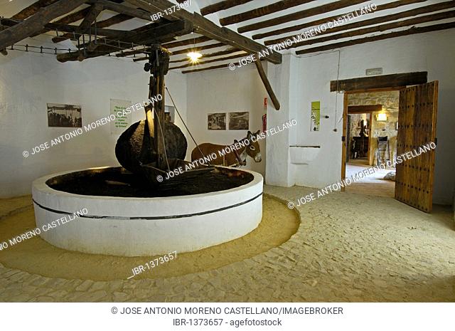Prensa de Alori, Museo de la cultura del Olivo, museum on the cultural history of the olive tree, Puente del Obispo, Baeza, province of Jaen, Andalusia, Spain