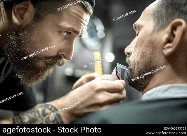 Gifted bearded barber is trimming the beard of his client in a black cutting hair cape in the barbershop. He is using a cutting comb and a hair clipper