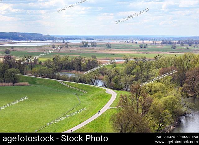 19 April 2022, Brandenburg, Schwedt/Ot Schöneberg: View from the lookout point Richterberg at the edge of the village Stützkow in the National Park Lower Oder...