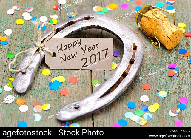 horse shoe as talisman for new years 2017