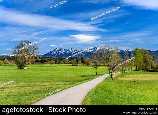 Germany, Bavaria, Upper Bavaria, Pfaffenwinkel, Obersöchering, spring landscape against the foothills of the Alps with Herzogstand and Heimgarten