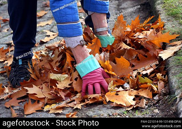 14 October 2022, Brandenburg, Schöneiche: At temperatures around 15 degrees Celsius, a woman collects fallen leaves from the street trees
