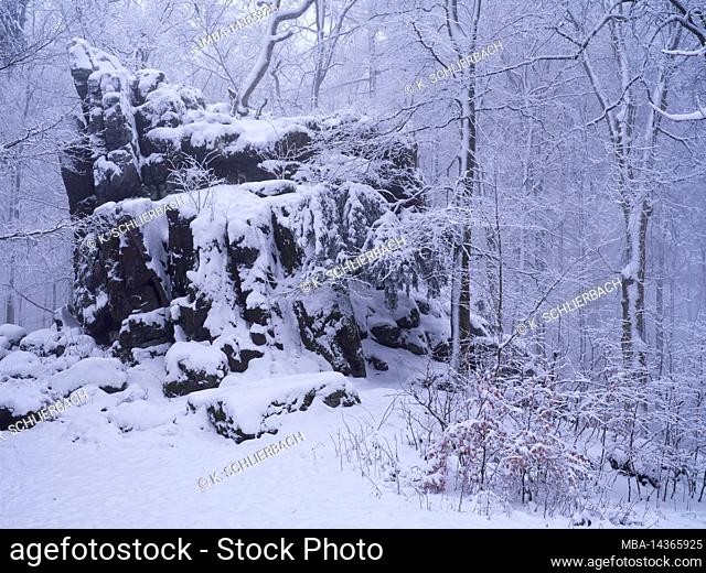 Europe, Germany, Hesse, Nature Park Lahn-Dill-Bergland, Winter at the Wilhelmsteinen near Siegbach-Tringenstein