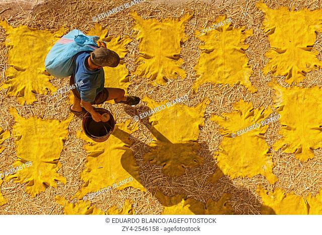 Man working with leather. Tanneries. Fez El Bali. Fez. Morocco. North Africa. Africa