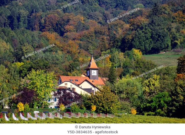Vinzel - small village in vineyards and forests, 'La Cote' wine region, district of Nyon, canton of Vaud , Switzerland, Europe