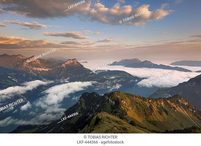 View from Rophaien to Lake Lucerne and the surrounding peaks in the morning, Canton of Uri, Switzerland