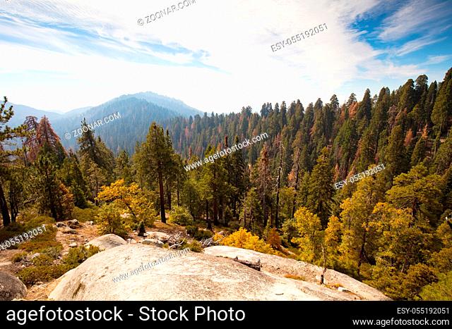 Viewing point from Generals Hwy thru Sequoia National Park in California, USA