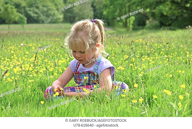 Young girl sat in buttercup meadow