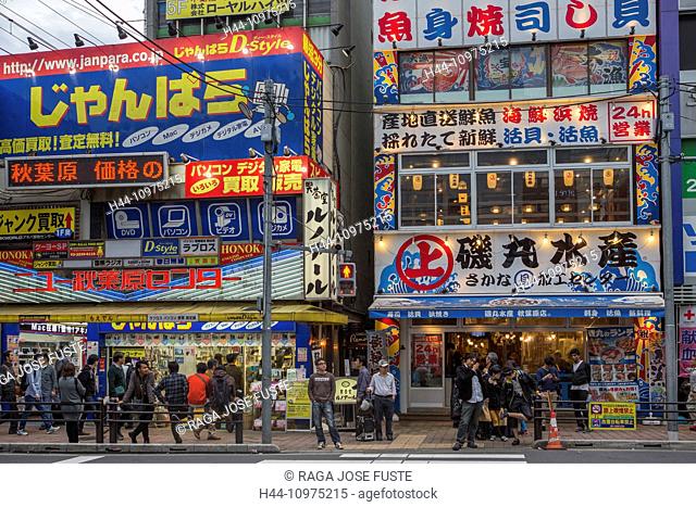 Akihabara, Avenue, City, District, Japan, Asia, Tokyo, colourful, colours, evening, pedestrians, touristic, travel