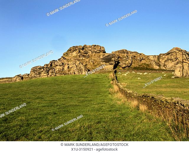 Almscliff Crag millstone grit outcrop near Harrogate North Yorkshire England