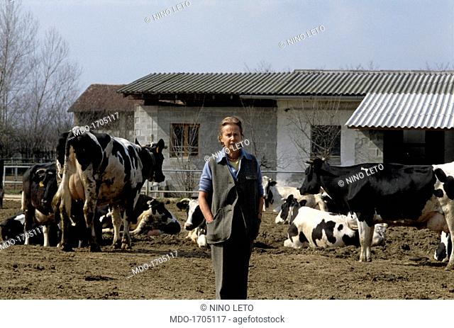 Giulia Maria Crespi at her farm, called Zelata. Italian publisher Giulia Maria Crespi is in her farm called Zelata among the cows; descended from a famous...