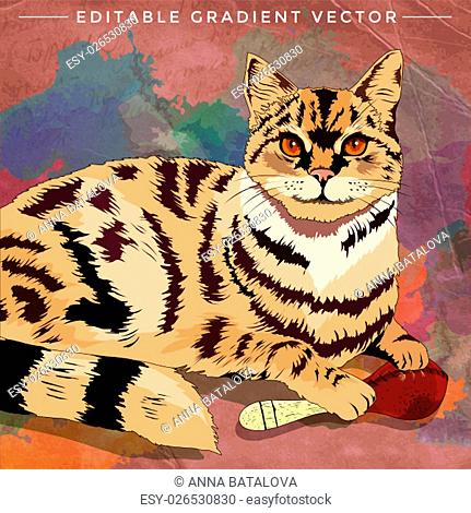 House Cat. Vector illustration of a cat at home
