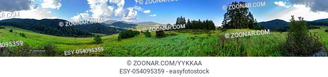 Beautiful summer panorama of lush vegetation in the Altai Mountains