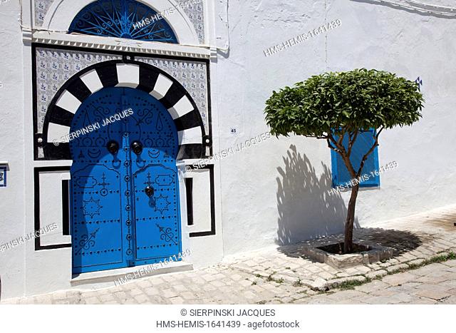 Tunisia, Sidi Bou Said, traditional colored door