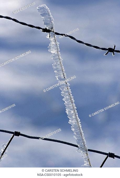 Ice crystals on barbed wire