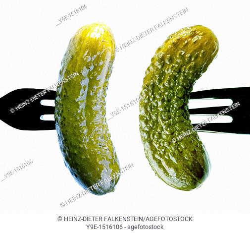 Cucumbers on forks