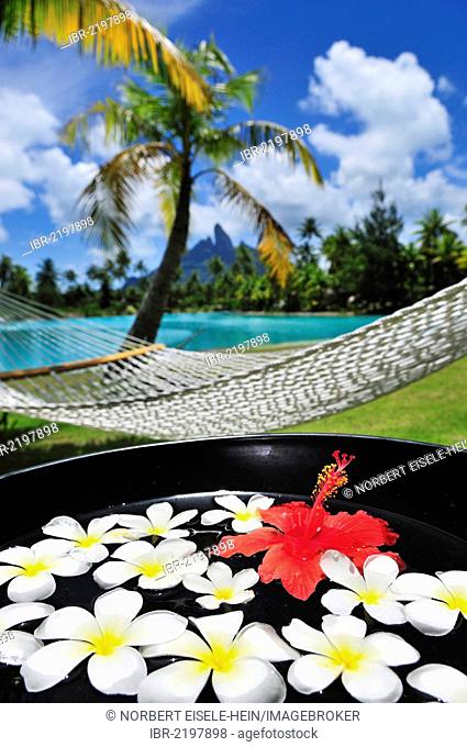 Hammock, palm tree, floral decorations, St. Regis Bora Bora Resort, Bora Bora, Leeward Islands, Society Islands, French Polynesia, Pacific Ocean