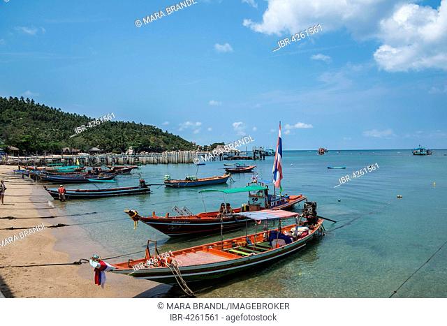 Colourful long-tail boats on beach, in sea, Koh Tao, Gulf of Thailand, Thailand