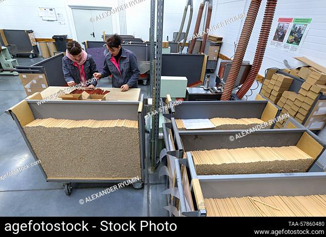 RUSSIA, RYAZAN REGION - MARCH 13, 2023: Women cut pencils to one length at Krasin Pencil Factory. Located in the rural town of Shilovo
