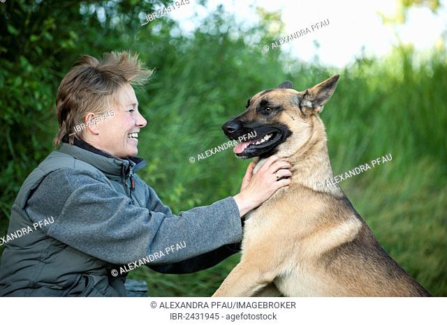 Woman caressing a Malinois or Belgian Shepherd Dog