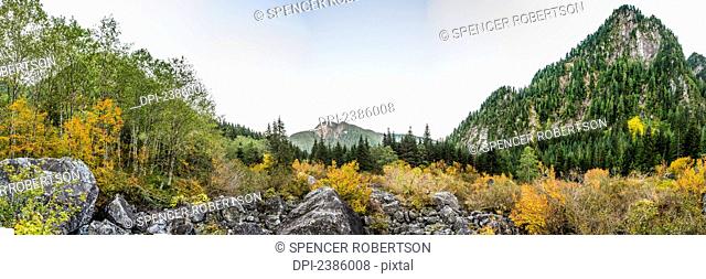 Alder Flats in autumn; British Columbia, Canada