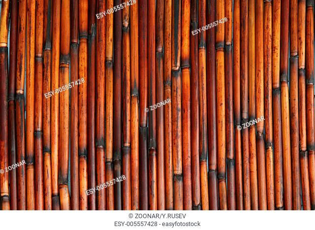 Red bamboo texture in straight lines