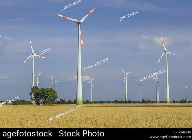 Wind turbines, field near Köthen, Saxony-Anhalt, Germany, Europe