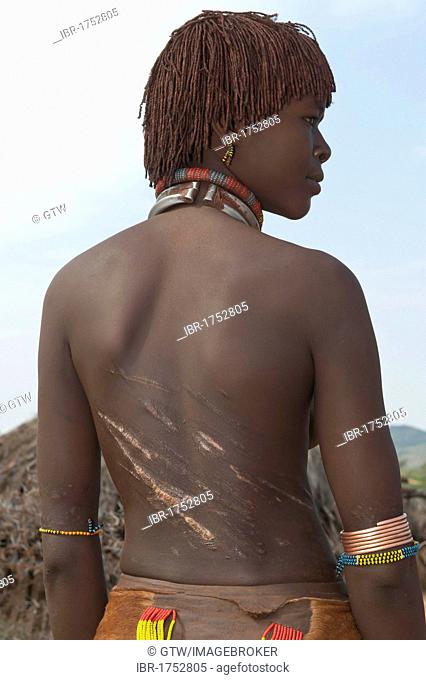 Young Hamar woman with traditional hairstyle with red clay and with scars  and marks of being whipped..., Stock Photo, Picture And Rights Managed  Image. Pic. IBR-1752805 | agefotostock