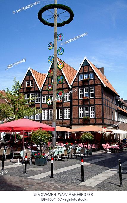 May pole, Spiekerhof square, Muenster, Muensterland, North Rhine-Westphalia, Germany, Europe