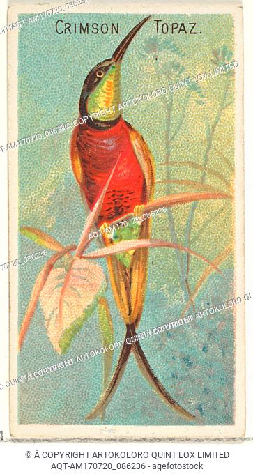 Crimson Topaz, from the Birds of the Tropics series (N5) for Allen & Ginter Cigarettes Brands, 1889, Commercial color lithograph, Sheet: 2 3/4 x 1 1/2 in