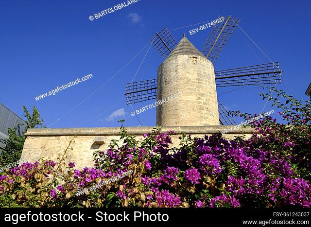 Molí d'en Polit, a flour windmill of the late eighteenth or early nineteenth century, headquarters of the association Glosadors de Mallorca