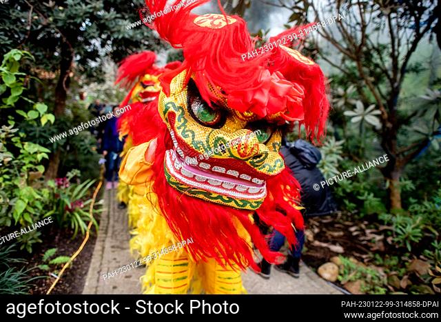 22 January 2023, Bremen: Performers from Wushu Team Zhao in colorful costumes perform the traditional lion dance in the Botanika greenhouses