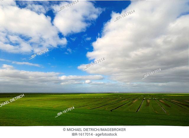 View over the foothills of Neufelder Koogs at the mouth of the Elbe River with Cuxhaven, North Sea, Dithmarschen district, Schleswig-Holstein, Germany, Europe