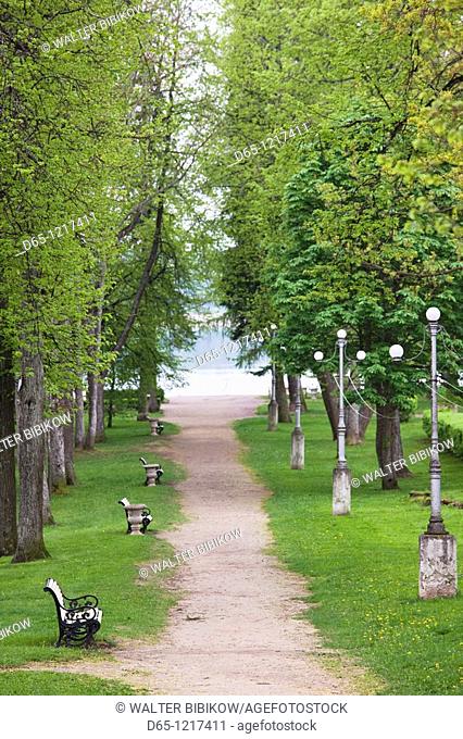 Estonia, Southeastern Estonia, Voru, Kateriina allee, tree-lined path