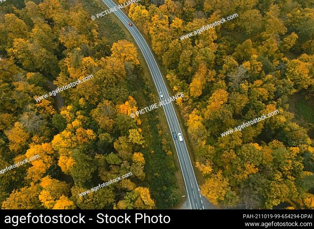 19 October 2021, Saxony-Anhalt, Hasselfelde: View of the autumnal deciduous forest in the Upper Harz (shot with drone). The weather remains changeable according...
