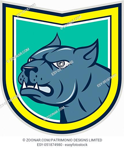 Illustration of an angry pitbull dog mongrel head looking to the side set inside shield crest on isolated background done in cartoon style