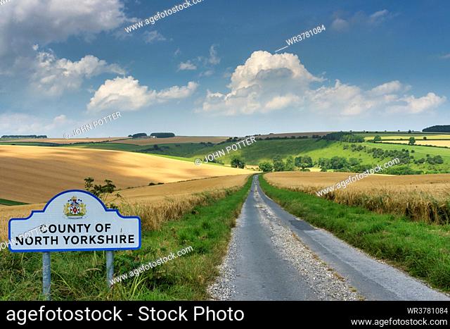 Corn fields and rolling chalk hills in mid-summer sunshine near Fridaythorpe on the East Yorkshire Wolds, Yorkshire, England, United Kingdom, Europe