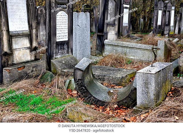 Jewish Cemetery, Bracka street in Lodz, this biggest Jewish cemetery in Europe contains over 180 000 graves and 65 000 tombstones
