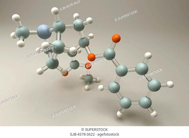 Molecular model of the drug Cocaine or Benzoylmethylecgonine