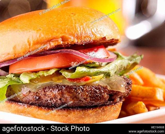 mixed burger with fries, tomato, onion, lettuce, ketchup and cheese