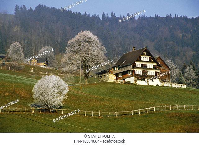 10374064, overview, trees, slope, inclination, houses, homes, scenery, Switzerland, Europe, canton St. Gallen, Toggenburg, woo
