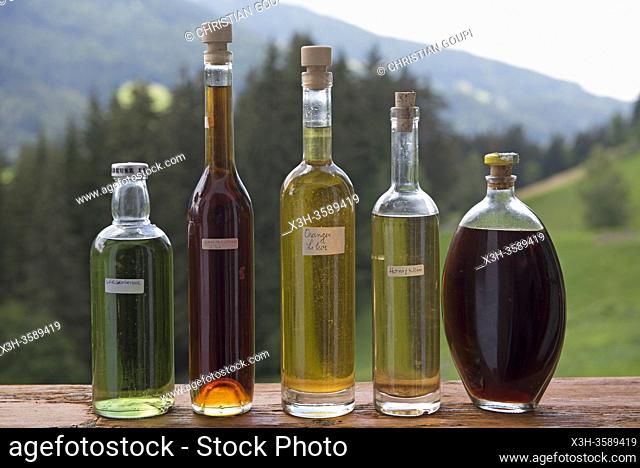 etalage d'eaux de vie de fruits varies (schnapps), ferme auberge Unterstein, vacances a la ferme, Villabassa /Niederdorf, Val Pusteria