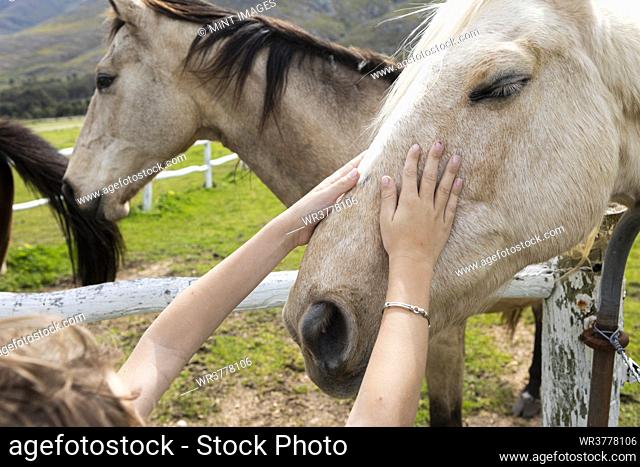 Eight year old boy patting a horse in a field
