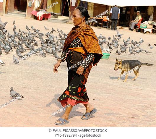 nepalese lady walking amongst the pigeons , boudhanath , one of the holiest Buddhist sites in Kathmandu , Nepal