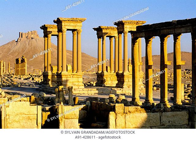 The Great columnade and the arabic castle at back. Ruins of the ancient roman city in the Palmyra oasis. Syria