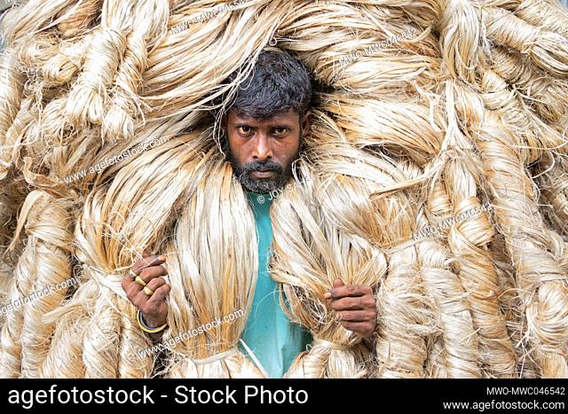 A worker carries heavy jute fibres on the shoulder in Manikganj, Bangladesh. Jute is the golden fiber of Bangladesh. Eighty percent of the world's high quality...